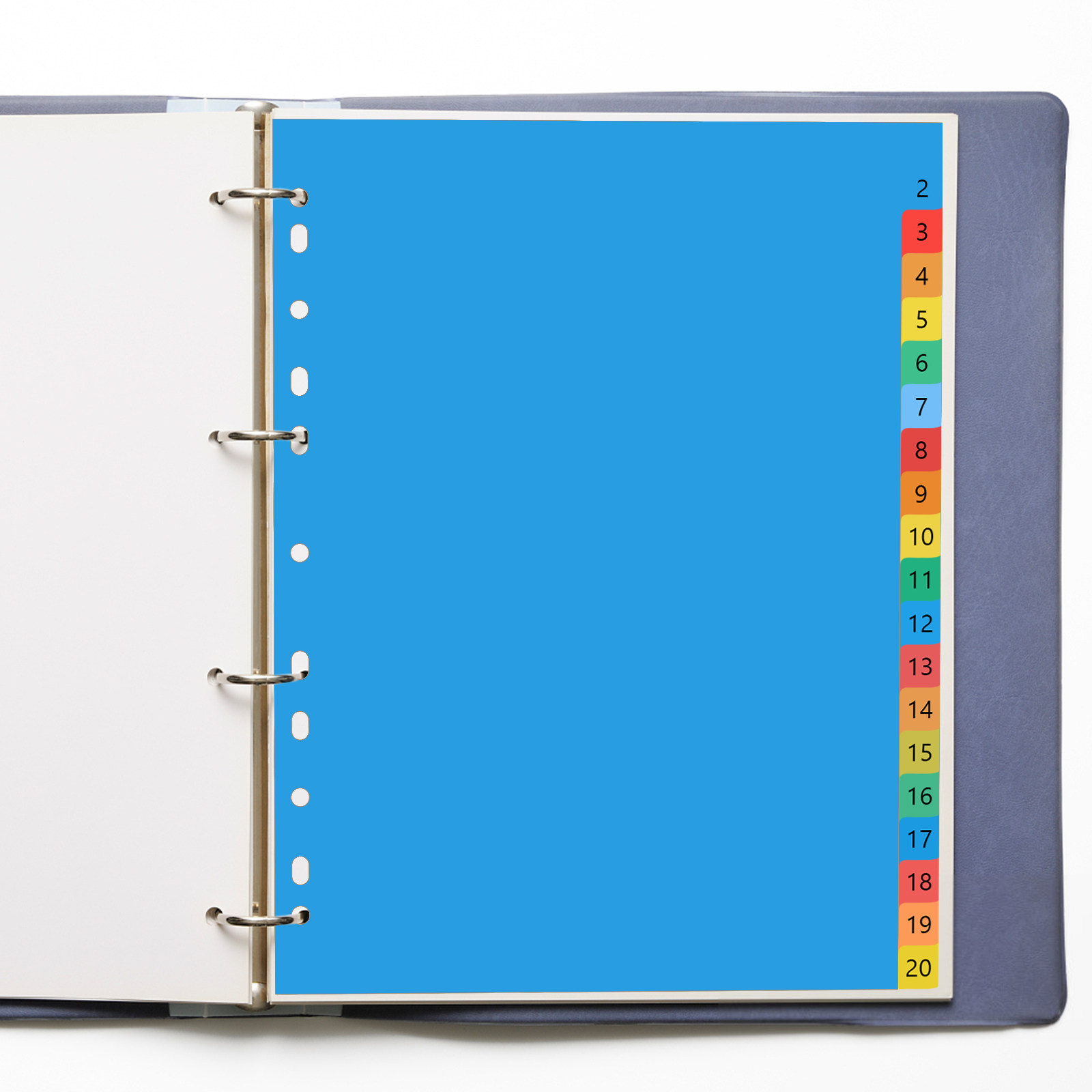 Tab Divider A4 - 20 stron A4, kolorowe plastikowe przekładki